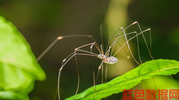 简单的3英镑单品可以让你在这个秋天远离大长腿