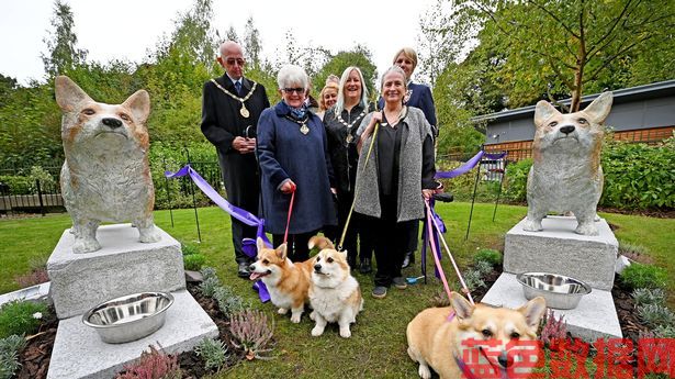 沃尔索尔市议会花费3.5万英镑购买柯基犬